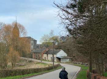 Randonnée Marche Rendeux - Cheoux Hodister - Photo