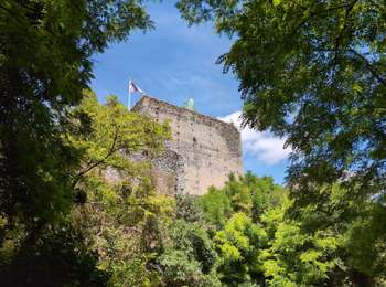 Tour Elektrofahrrad Tours - Tours - Saint-Avertin Veigné Esvres Saint-Branchs Sorigny Montbazon Monts Ballan-Miré - 83km 700m 6h40 - 2026 06 11 - Photo