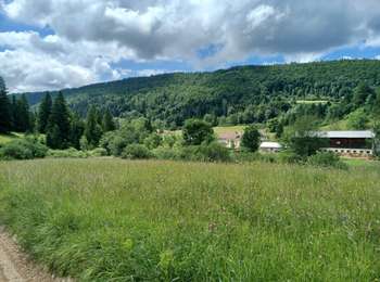 Trail Walking Bellefontaine - En partant par les Pichonniers!!! - Photo