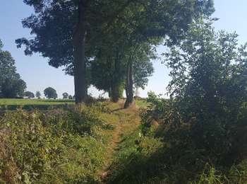 Trail On foot Lontzen - Lontzen - Rabotrath - Herbesthal - Photo