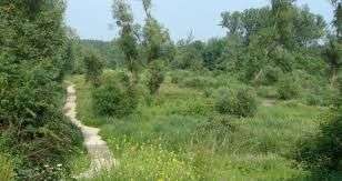 Trail Walking Waremme - WACHNET WAREMME - Photo