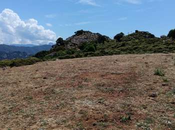 Trail Walking Galéria - boucle de capu tondu  - Photo