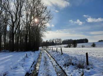 Trail Walking Tinlot - Ramelot sous la neige - Photo