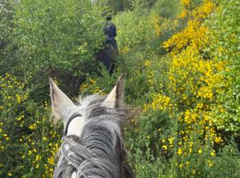 Tour Reiten Bastnach - Tripoux mai 2023 2 - Photo