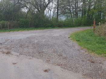 Percorso Marcia Nassogne - Vers les bisons - Photo