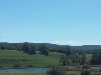 Trail Walking Chaux-des-Crotenay - GPX_Lac_à_La_Dame - Photo