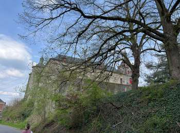 Trail Walking Écaussinnes - Ecaussinne un saut dans le temps - Photo