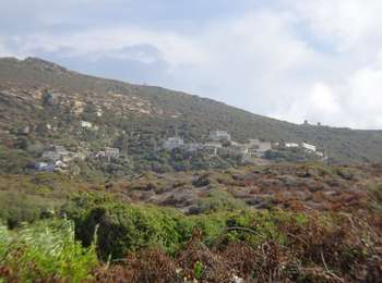 Trail On foot Centuri - Centuri Cannelle - Photo