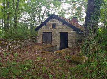 Trail Walking Tronchoy - grand virey - Photo