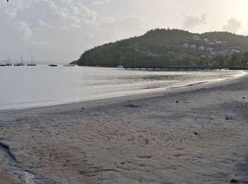 Trail Walking Les Trois-Îlets - Anse à l'Ane - Anse Mitan par Fort d'Alet. - Photo