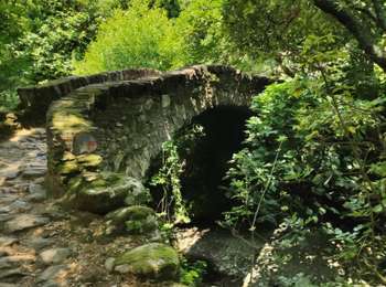 Trail Walking Pietracorbara - tracė tour de Pietracorbara - Photo