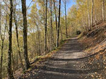 Trail Walking La Louvière - Saint-Vaast / Terrils / 2020-11-03 / 15 km - Photo