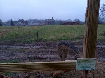 Trail Walking Héron - Héron coutvuin - Photo