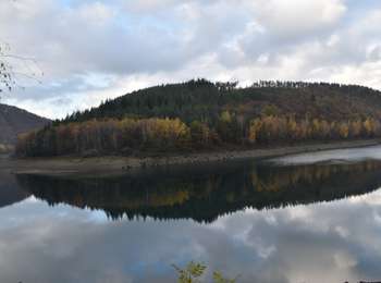 Trail Walking Stavelot - 20201110 - Coo 7.5 Km - Photo