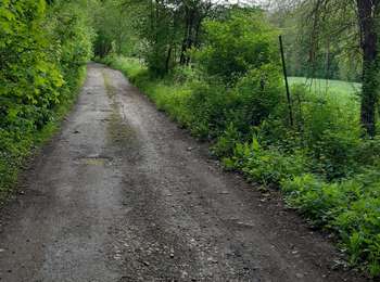 Randonnée Marche Gaillon-sur-Montcient - En passant par Dalibray - Photo