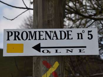 Trail Walking Olne - 20210208 - Olne 9 Km - Photo