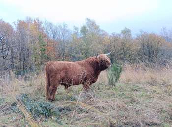 Trail Walking Liège - entre ourthe et lande (privatisée) - Photo