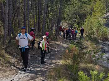 Randonnée Marche Aubignosc - Boucle des Canayons depart Aubignosc  390 + - Photo