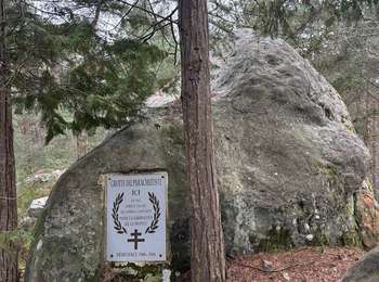 Tour Wandern Noisy-sur-École - Noisy#9 - Photo