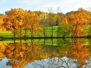 Percorso Marcia Montmorin - Montmorin_Etang_Maures - Photo