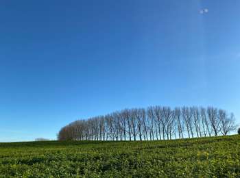 Tocht Stappen Waver - Wavre nord Ottembourg Laurensart  - Photo