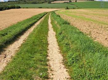 Trail Mountain bike Passy - Randonnée de Passy - Photo