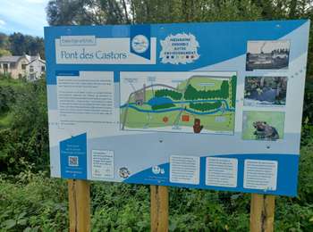 Tocht Stappen Genepiën - Promenade à Bousval - Photo