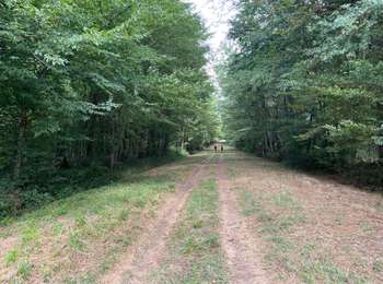 Trail Walking Vougeot - Vougeot Citeaux - Photo