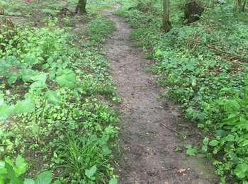 Randonnée Marche Saint-Lambert - Balade du prieuré, mesnil sevin , la brosse, le prieuré - Photo