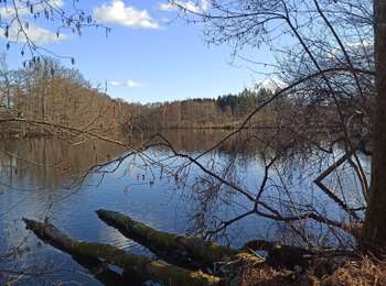 Trail Walking La Bruyère - 01-03-26 : la Bruyère - Photo