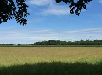 Excursión Senderismo Tintigny - À l’ombre de la forêt gaumaise  - Photo