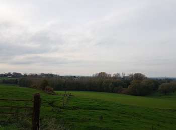 Trail Walking Silly - Wapi 3.02 - La promenade des Princes - Silly - Photo