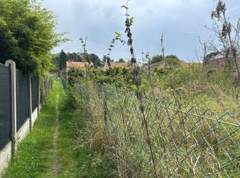 Trail Walking Flobecq - Flobecq 15,1 km - Photo