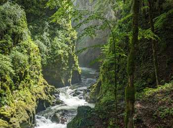 Trail Horseback riding La Chaumusse - suuntoapp-HorsebackRiding-2024-05-20T07-02-51Z - Photo