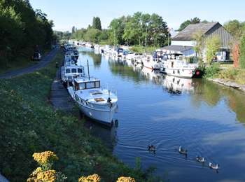 Trail Walking Chapelle-lez-Herlaimont - GG-HT-07_Godarville-Piéton - Photo