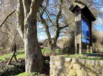 Percorso Marcia Hannut - La promenade de la Mouhagne  - Photo