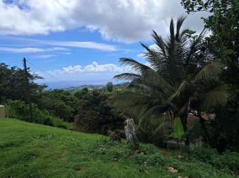 Trail Walking Le Lorrain - Edition 2026 22MMKM - Photo