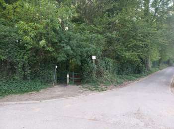 Tour Wandern Linkebeek - honden Linkebeek schaveys  - Photo
