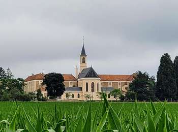 Tour Wandern Magny-les-Hameaux - Boucle 23 km à partir de Port Royal des Champs - Photo