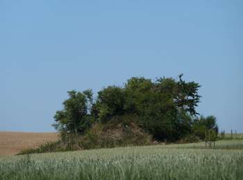 Tocht Te voet Geldenaken - Promenade de la chapelle d'Herbais - Photo