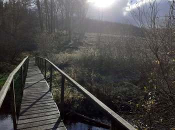 Tocht Stappen Daverdisse -  Rallye - Wandelzoektocht GEMBES - Photo