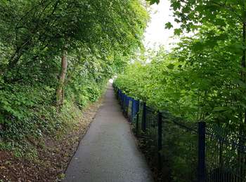Trail Walking Liège - Rocourt - Grâce-Hollogne - Rocourt  - Photo