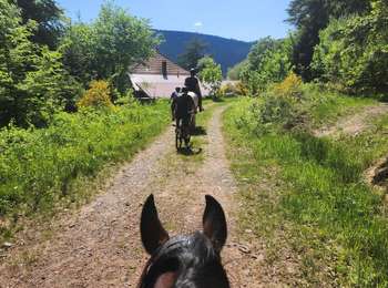 Tour Pferd Langstein - Wikiloc - ACPL - Lac de Pierre Percée les 2 lacs - Photo
