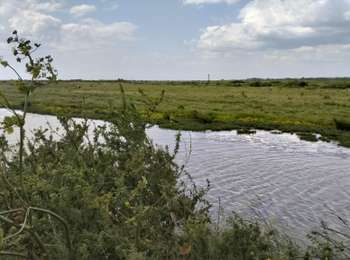 Excursión Bici de montaña Fouras - 17-vtt-fouras-soumard-marais-26km - Photo