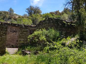Randonnée Marche La Garde-Freinet - 83 - Le rucher de Blay et le moulin. à eau de blanche - Photo
