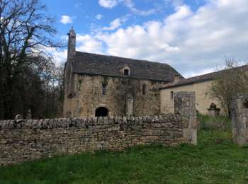 Tocht Mountainbike Caylus - VTT Caylus 37km 700D+ - Photo