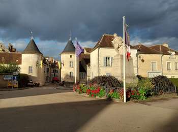Trail Walking Chablis - Chablis 231105 - Photo