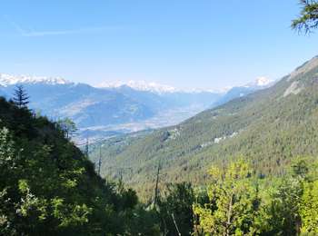 Tour Wandern Ayent - bistailla  - Photo