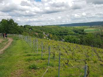 Excursión Senderismo Crouttes-sur-Marne - Crouttes du 23/05/2021 - Photo