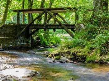 Trail Walking Herbeumont - Haut-Chenois - Sentiers  et vallée de l'Antrogne - Photo